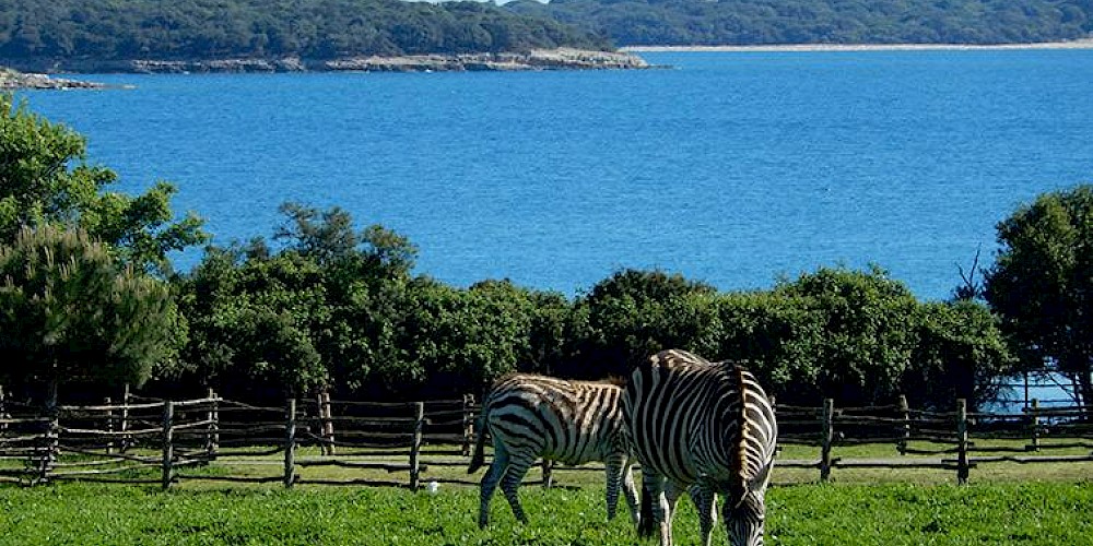 Istria Rentals - Nacionalni park Brijuni - 