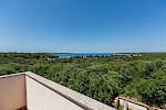 APARTMENT PUNTIZELA - Istria Rentals