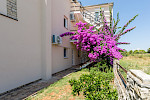 APARTMENT PUNTIZELA - Istria Rentals