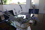 Apartman Anica 4+2 - Istria Rentals