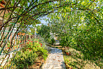 Apartman Anka 4+2 - Istria Rentals